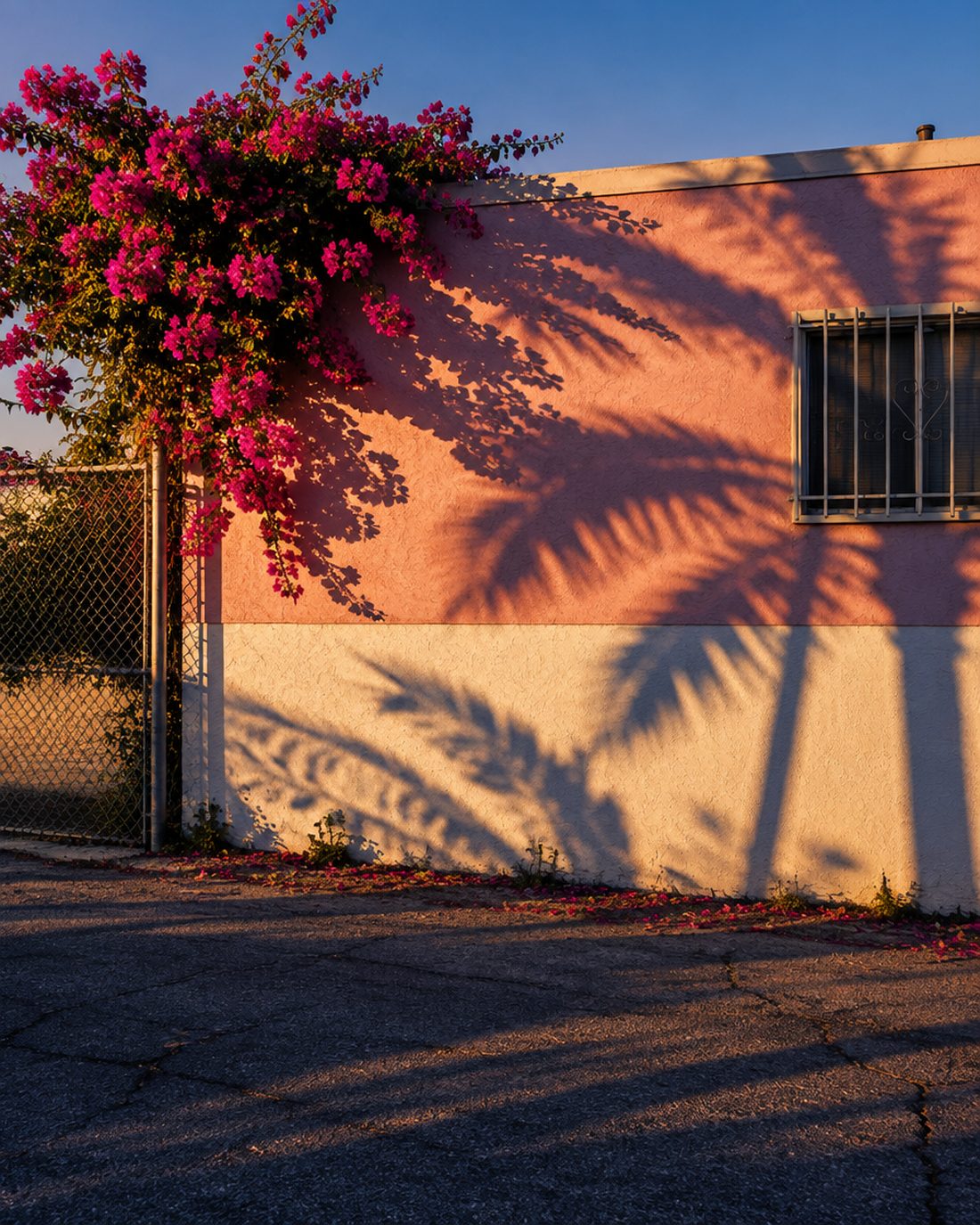 Los Angeles — Dry light